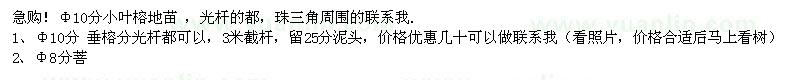 求購小葉榕,垂榕,菩提榕