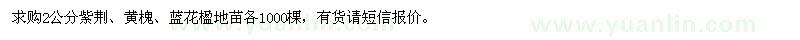 求購紫荊,黃槐,藍(lán)花楹