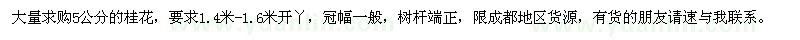 求購桂花
