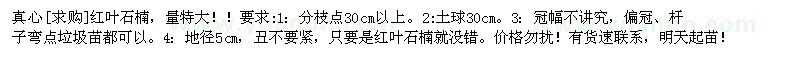求購紅葉石楠，量特大 明天起苗