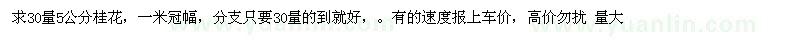 求購(gòu)30量5公分桂花，一米冠幅度