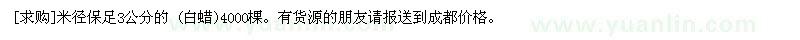 求購米徑保足3公分的 (白蠟)4000棵