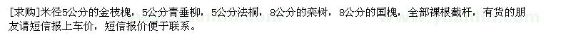 求購金枝槐 青垂柳 法桐 欒樹 國(guó)槐