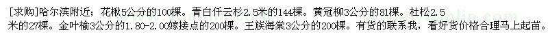 求購哈爾濱附近；花楸。青白仟云杉。黃冠柳