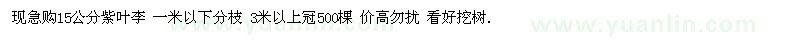 求購(gòu)15公分紫葉李 一米以下分枝