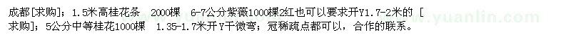 求購(gòu)成都；1.5米高桂花條 紫薇 中等桂花