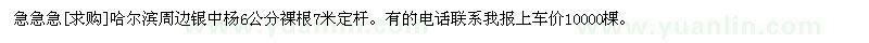 求購(gòu)急急急哈爾濱周邊銀中楊6公分