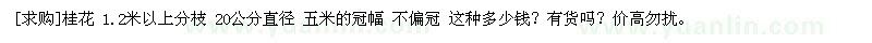 求購桂花 1.2米以上分枝 20公分直徑