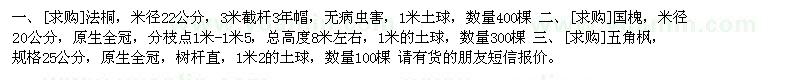 求購法桐，國槐，五角楓