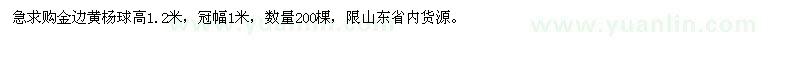 求購(gòu)金邊黃楊球高1.2米，冠幅1米