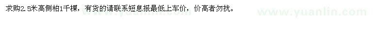 求購(gòu)2.5米高側(cè)柏1千棵