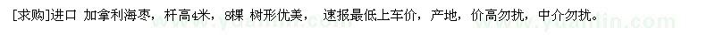 求購進口 加拿利海棗，桿高4米，8棵