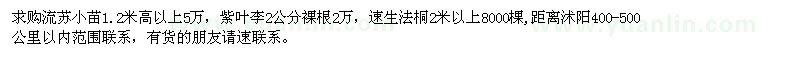 求購流蘇小苗、紫葉李、速生法桐