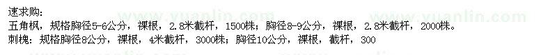 求購(gòu)五角楓,刺槐,垂柳