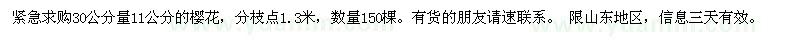 求購30公分量11公分的櫻花