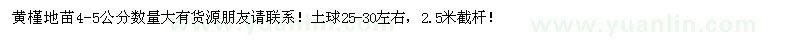 求購黃槿地苗4-5公分數(shù)量大