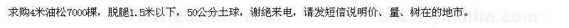 求購4米油松