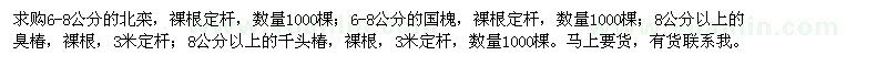 求購北欒,國槐,臭椿,千頭椿