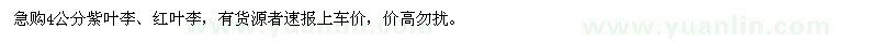 求購(gòu)4公分紫葉李,紅葉李