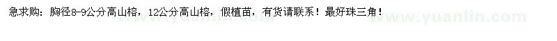 求購高山榕