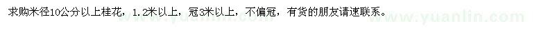 求購米徑10公分以上桂花 