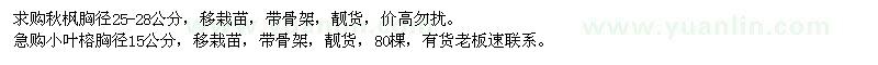 求購(gòu)秋楓,小葉榕