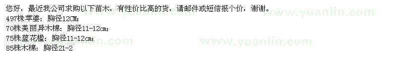 求購蘋婆,美麗木棉,藍花楹,白千層,木棉等
