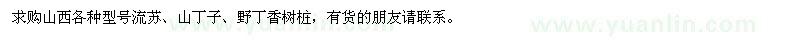 求購流蘇,山丁子,野丁香樹樁