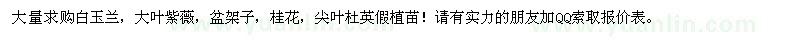 求購白玉蘭,大葉紫薇,盆架子,桂花,尖葉杜英