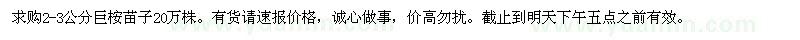 求購2-3公分巨桉