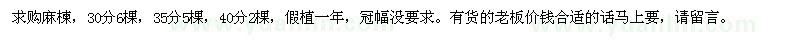 求購麻楝