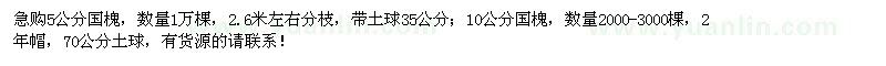 求購5、10公分國槐1萬多棵