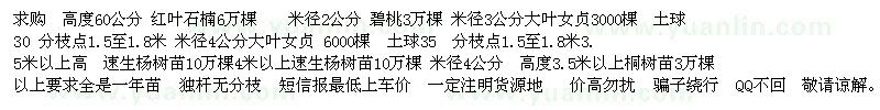 求購高度60公分 紅葉石楠6萬棵 