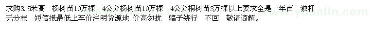 求購3.5米高  楊樹苗10萬棵