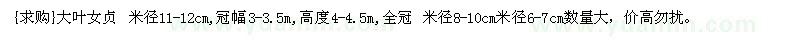 求購大葉女貞
