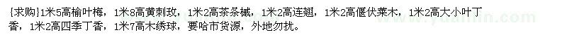 求購1米5高榆葉梅，1米8高黃刺玫，1米2高茶條槭