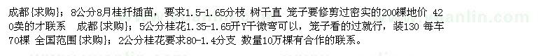 求購(gòu)8公分8月桂扦插苗 5公分桂花