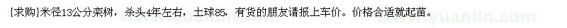 求購(gòu)米徑13公分欒樹，殺頭4年左右，土球85