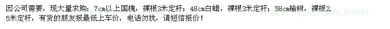 求購白蠟、國槐、榆樹