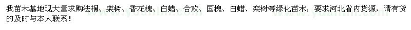 求購(gòu)法桐、欒樹、香花槐、白蠟、合歡