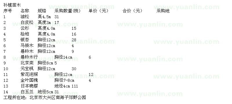 求購油松、白皮松、云杉、銀杏、日本晚櫻等苗木