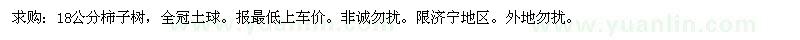 求購18公分柿子樹