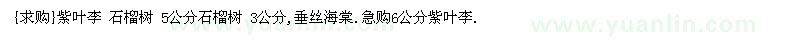 求購{}紫葉李 石榴樹 垂絲海棠 紫葉李