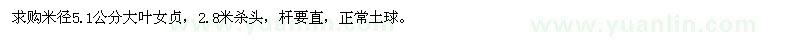 求購米徑5.1公分大葉女貞