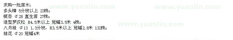 求購(gòu)多頭樟、銀杏、造型羅漢松、八月桂、桂花