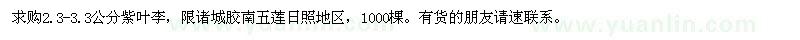 求購2.3-3.3公分紫葉李