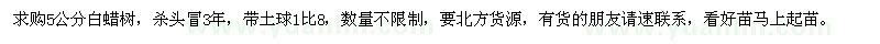 求購5公分白蠟樹