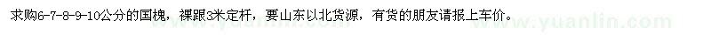 求購(gòu)6-10公分國(guó)槐