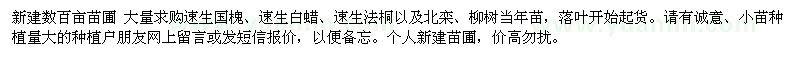 求購建圃用小樹苗：速生國槐、速生白蠟、速生法桐等