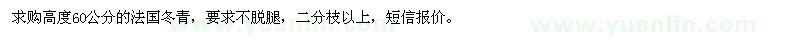 求購高度60公分的法國冬青